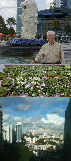 Singapore images copyright Clear Communication Company